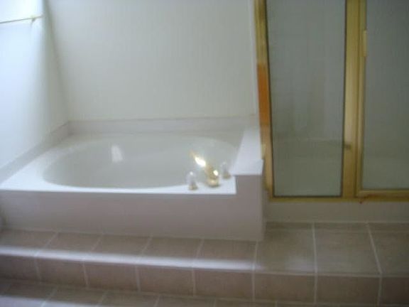 Garden Tub and Separate Shower