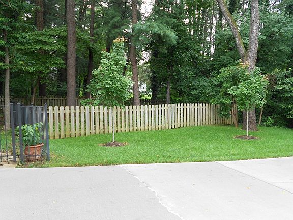 Side yard at driveway