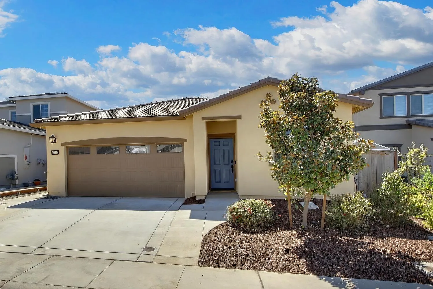 12782 Herringbone Way photo 1
