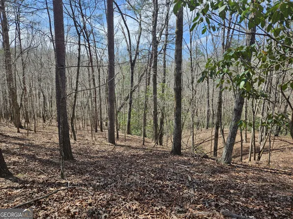 0 Bumpy Trl #1, Dawsonville, GA 30534