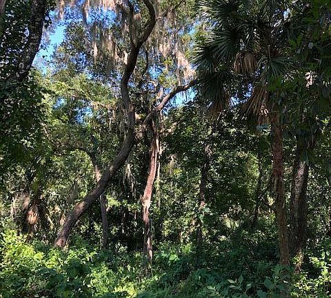 4th image of 20 Lost Creek Ln