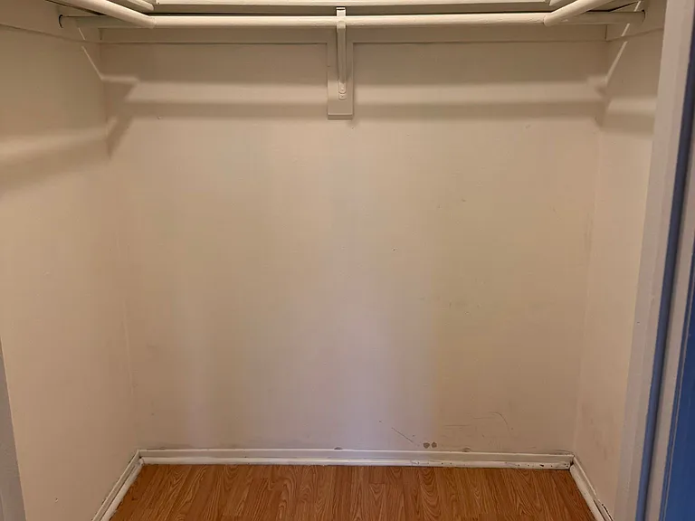main bedroom walk-in closet