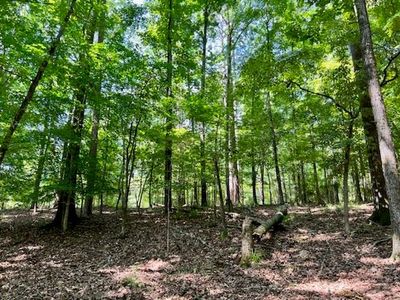 LOT 20 Fawnfield Ct, Buckhead, GA, 30625