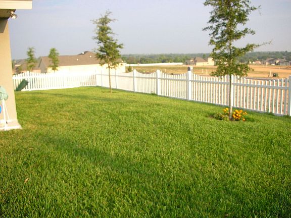 Oversized fenced in yard