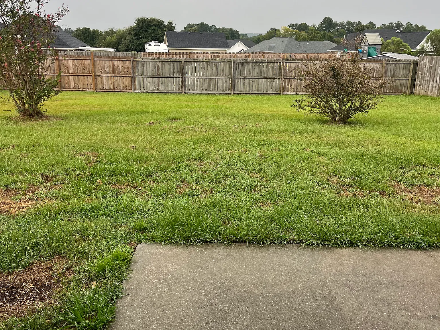 3 bed, 1550 sqft, $1,750 — Photo 3