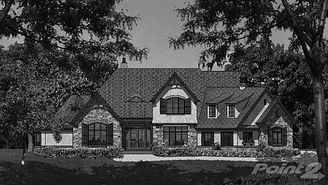 B & W View