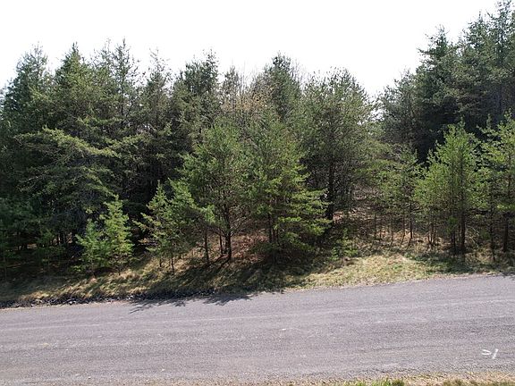 5th image of Pine Branch Rd