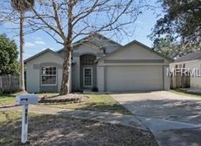 4819 Limerick Dr, Tampa, FL, 33610