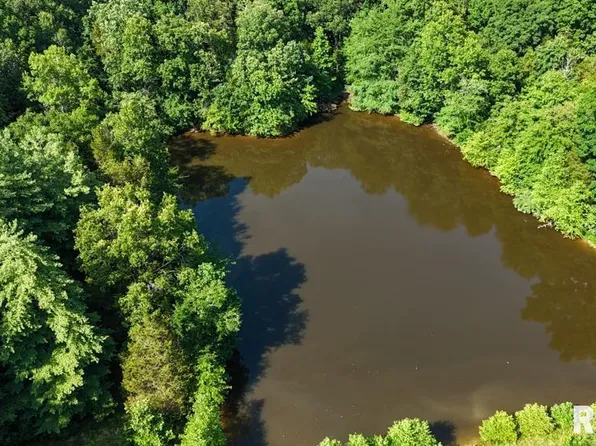 0 Martin Cave Ln, Goreville, IL 62939