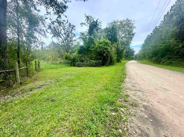 14190 SW Mount Gilead Rd, Greenville, FL 32331