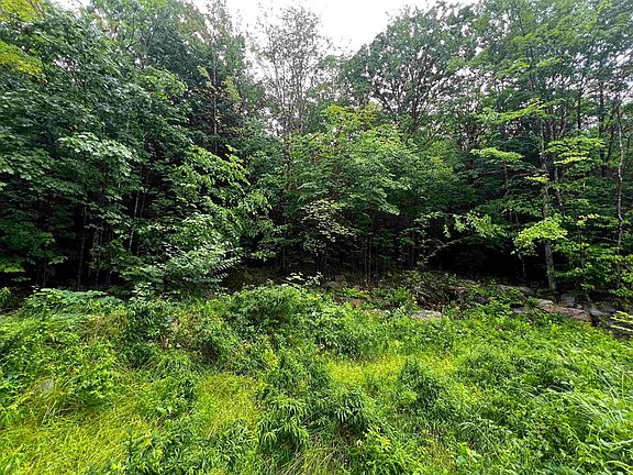 3rd image of 0 Jenness Hill Road #24