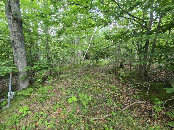 V/l Chippewa Trl Lot 62-64, Johannesburg, MI 49751