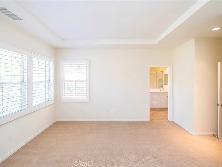 33 Bromeliad — Photo 24