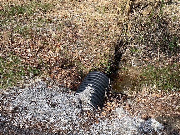 3rd image of 36 Rays Br