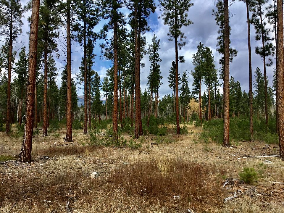1st image of 230 Kootenai Creek Rd