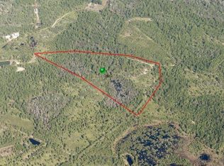 451 Volusian Forest Trl, Pierson, FL 32180