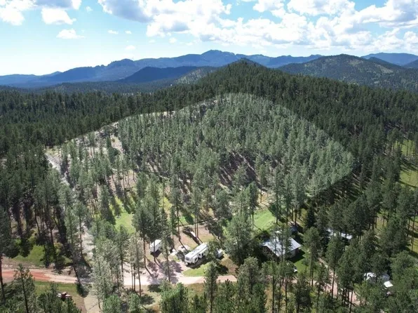 12491 S Tall Pine Rd, Hill City, SD 57745