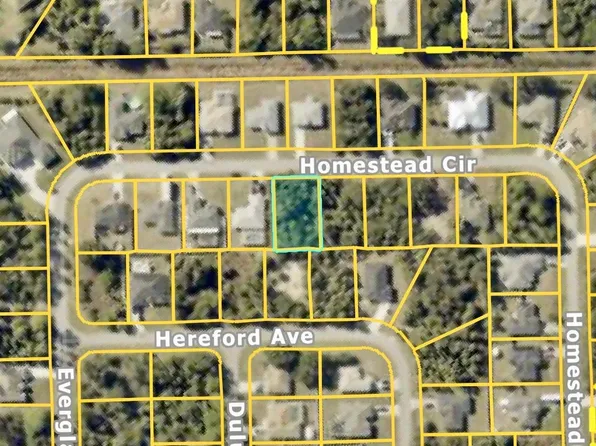 Homestead Cir, North Port, FL 34286
