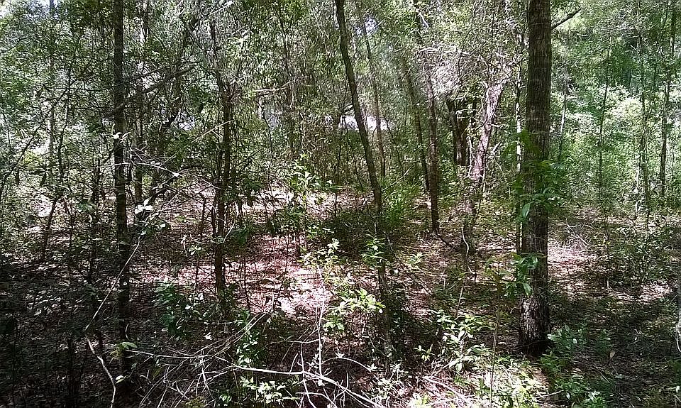 1st image of Saint George Dr #57
