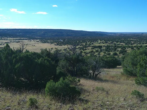 Lakeview Rnch, Concho, AZ 85924