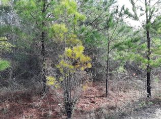 Frazier Harris Rd NE, Ludowici, GA 31316