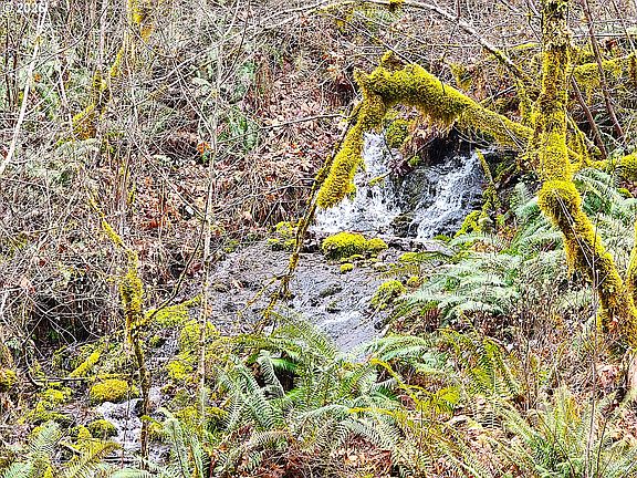 2nd image of E King Rd