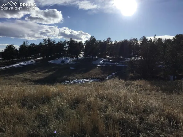 105 Surrey Rd, Florissant, CO 80816