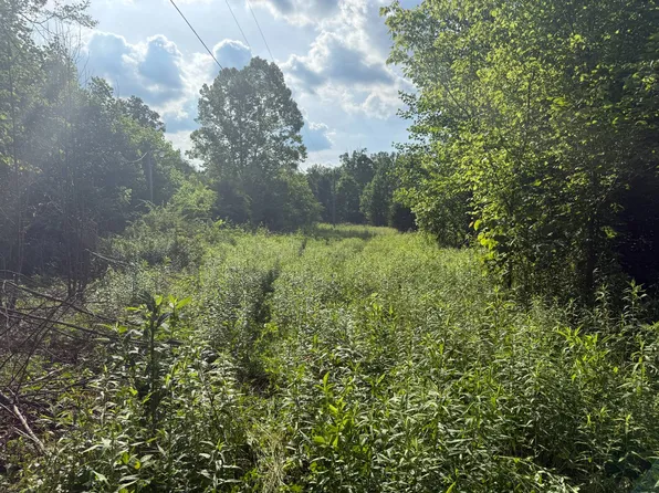 1440 Shugars Hill Rd, Liberty, KY 42539