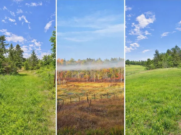 County Road 134, Pine River, MN 56474