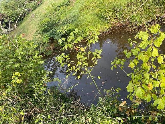 4th image of Wheeler Rd