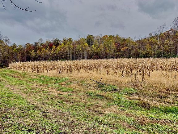 5th image of Hoot Hollow Rd