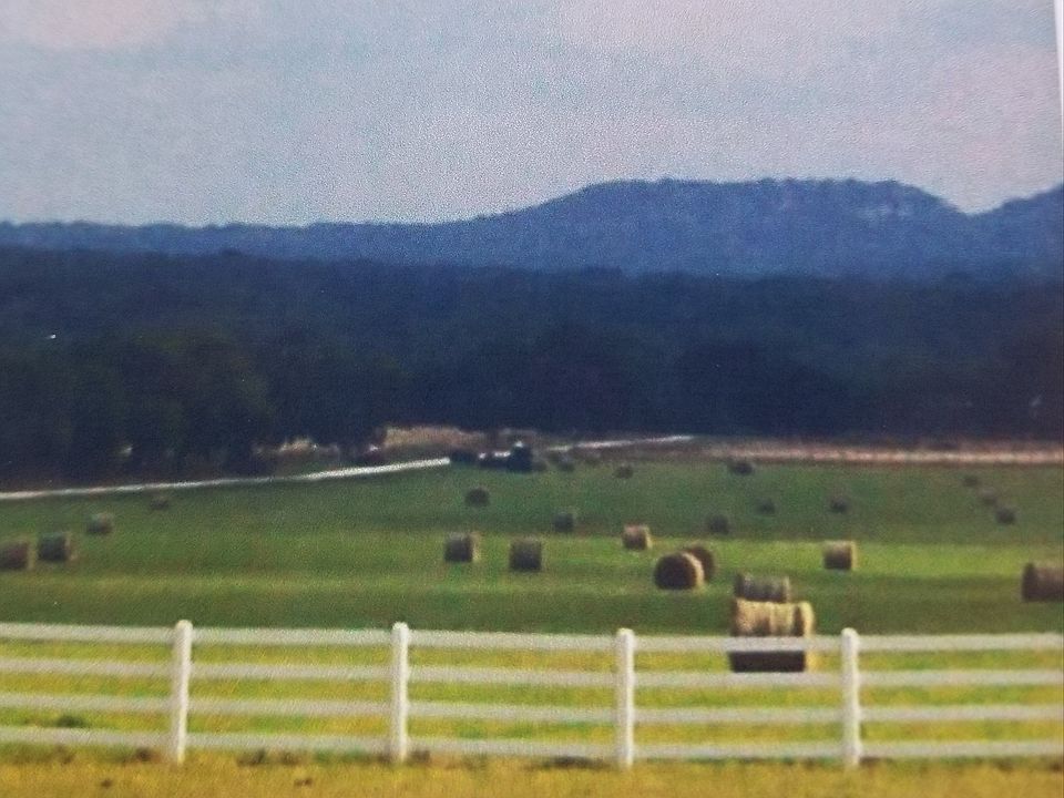 Hay field with round bales