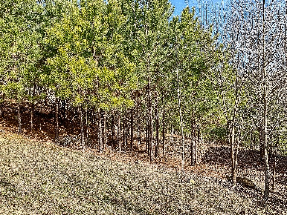 1st image of 4887 Basingstoke Dr Lot 0