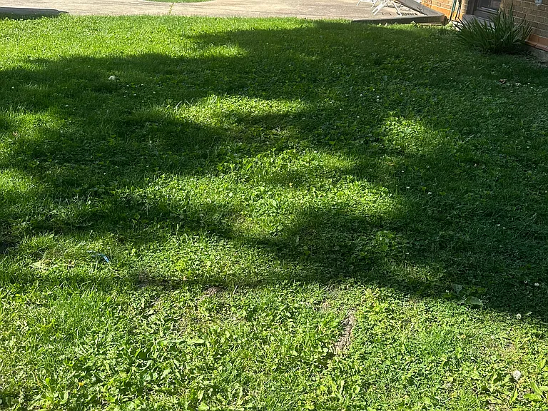 88 Kimbark Rd — Photo 24