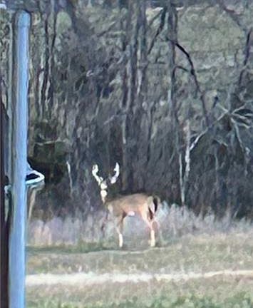 5th image of 343rd Ne Harmony Rd