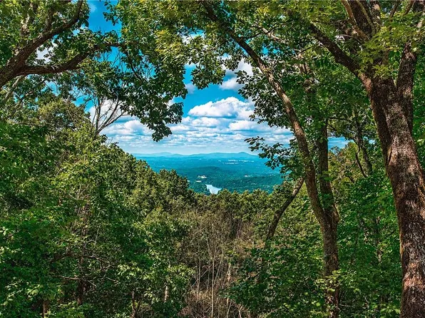 300 Sassafras Mountain Trl, Jasper, GA 30143