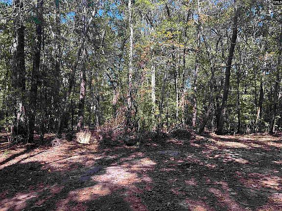 4th image of 0 Swamp Rabbit Rd Tract A