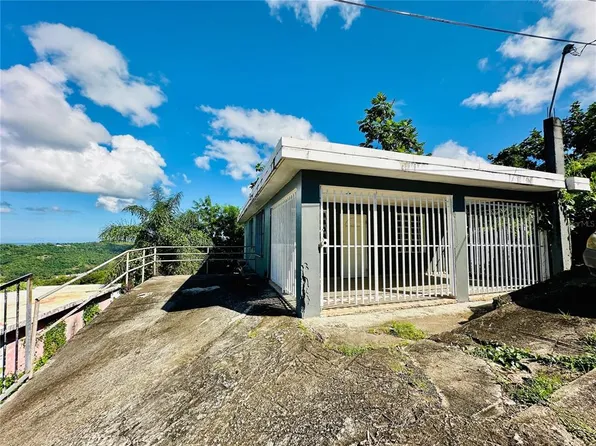 Calle 14 Alturas De Campo Rico #433, Canovanas, PR 00729