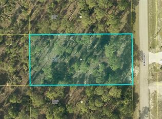 1205 Leroy Ave, Lehigh Acres, FL 33972