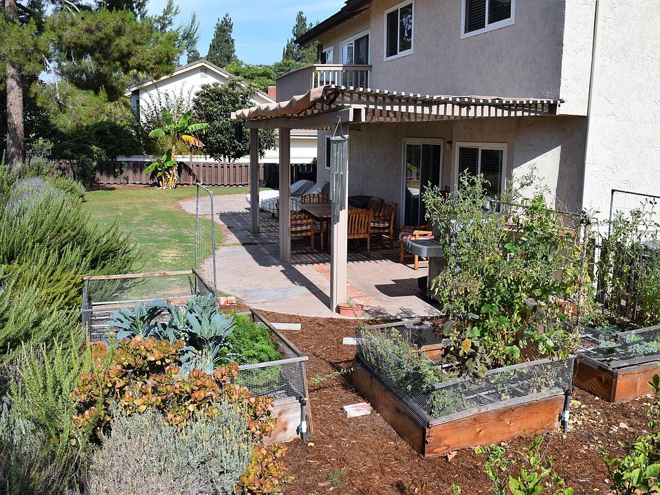 Backyard with organic raised-bed garden