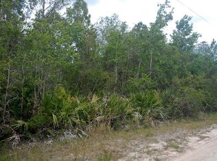 2469 Old Train Rd, Deltona, FL 32738