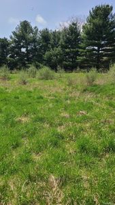 0 Pheasant Run Rd, Howell, MI, 48843