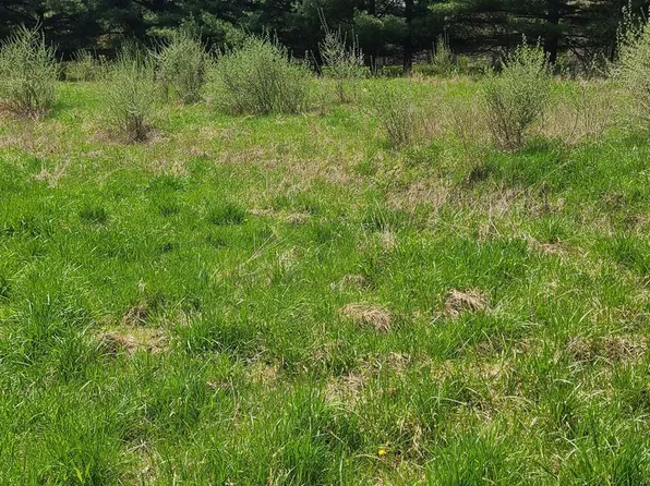 0 Pheasant Run Rd, Howell, MI 48843