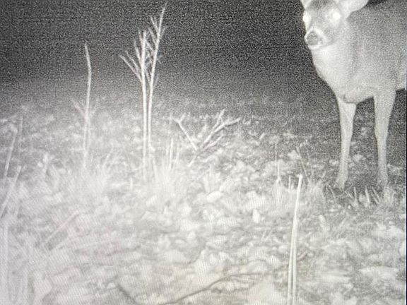 4th image of 0 Rr