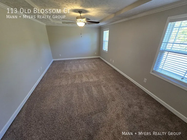 113 Old Blossom Ct — Photo 38