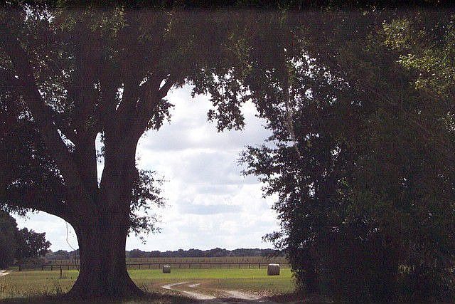 2nd image of 4980 SE Highway 42 #(brown-sum