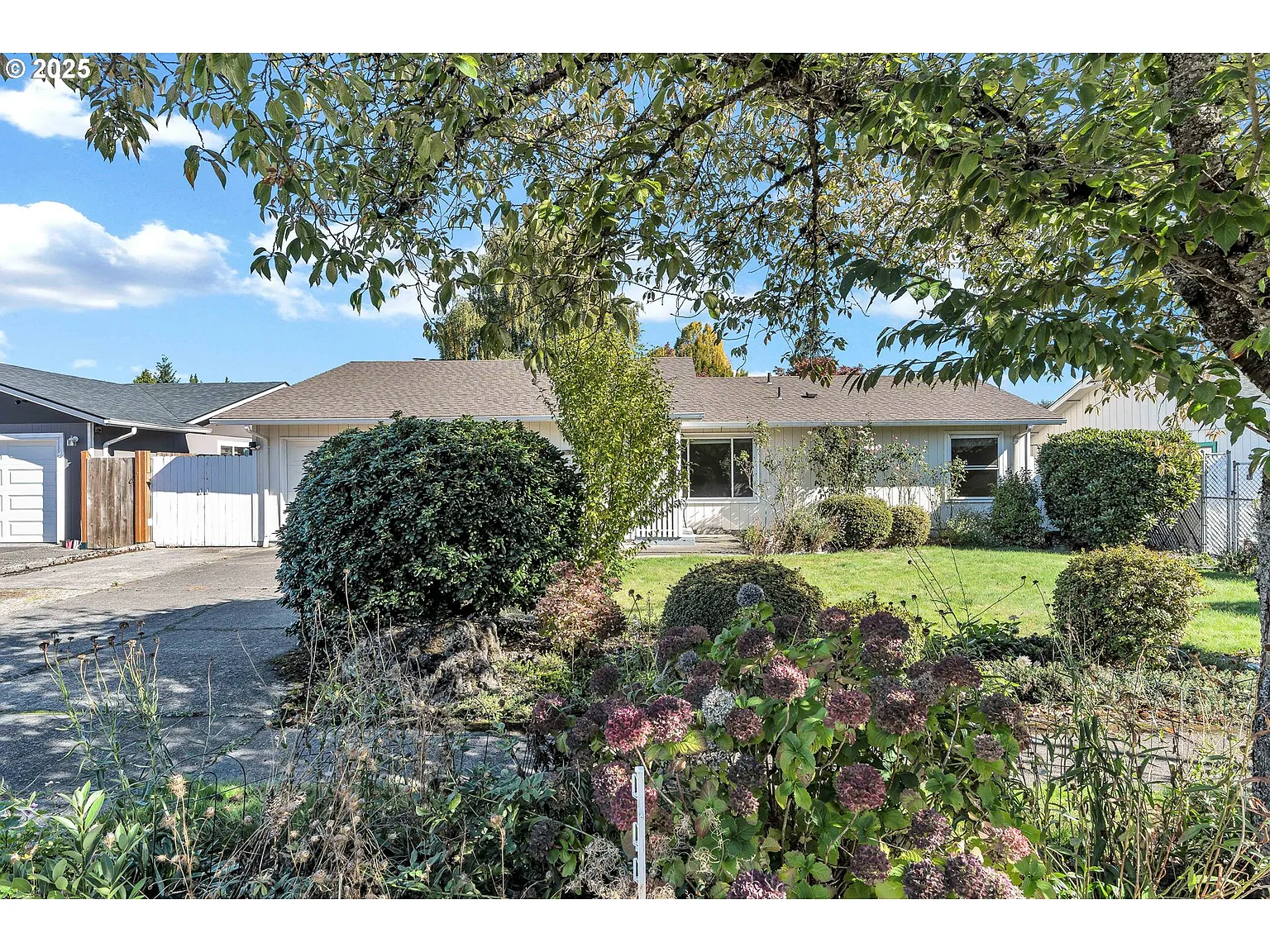 1538 Orchid Ct photo 1