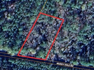 0 Muddy Hole Rd, Tyaskin, MD 21865