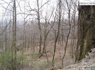 Lot 57 Toms Knob Road, Sparta, NC 28675