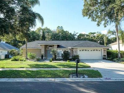 4524 Bardsdale Dr, Palm Harbor, FL, 34685